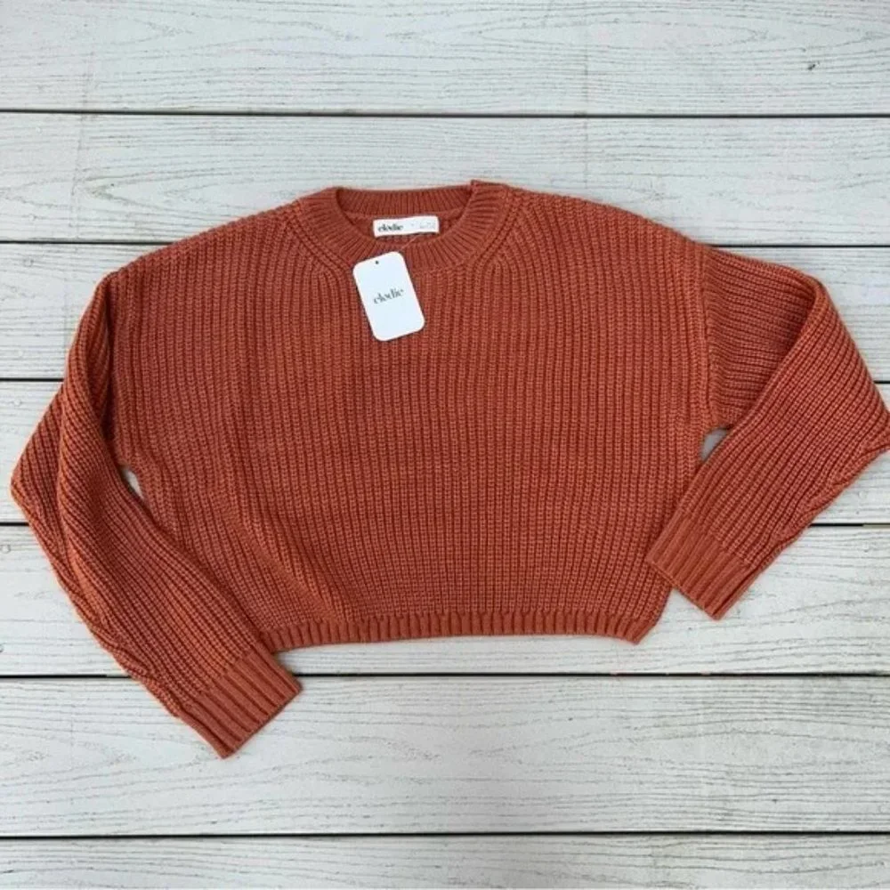 Elodie NWT Women's Rust Crewneck Cropped Long Sleeve Chunky Knit Sweater Large - Picture 2 of 4
